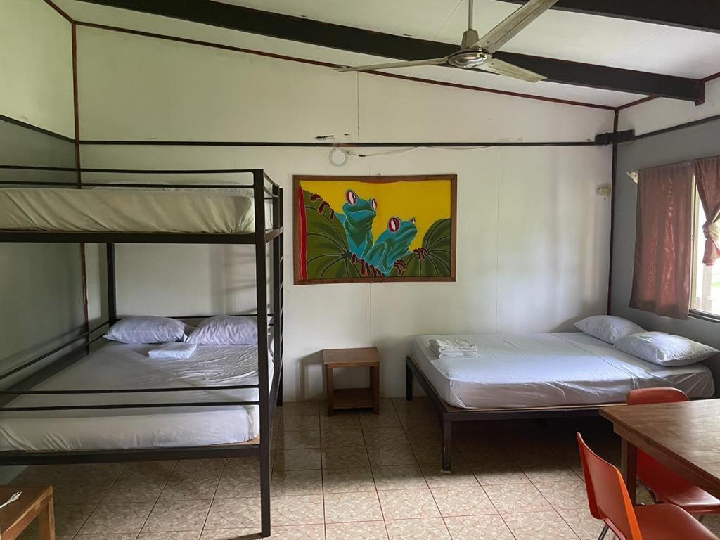 Be My Guest Cabinas Puerto Viejo de Talamanca Exterior photo